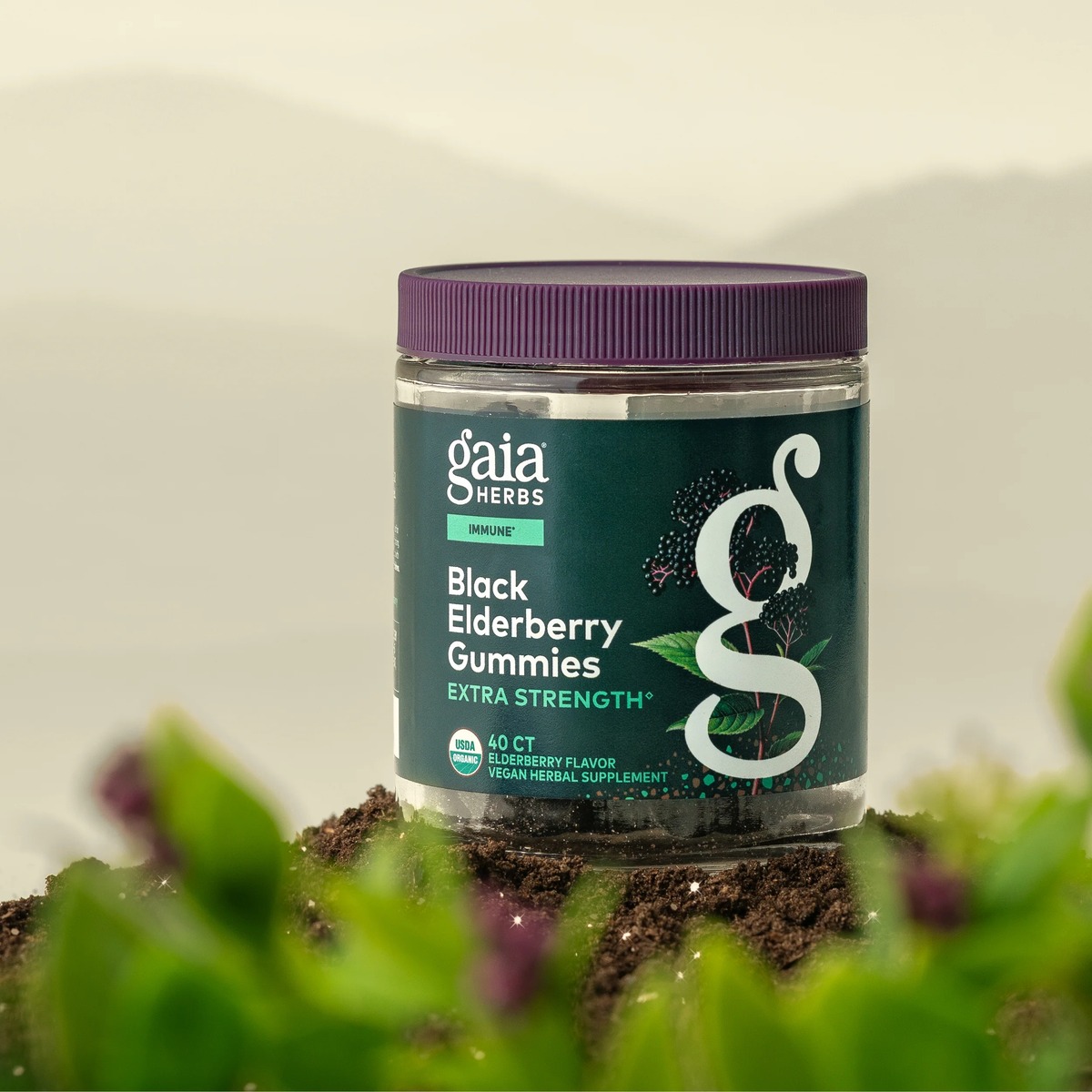 gaia herbs product image