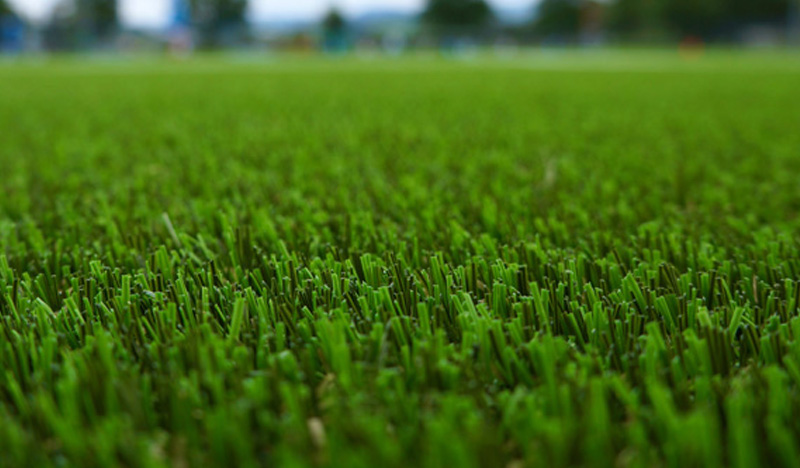 grass direct product image