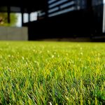 grass-direct-featured