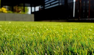 grass-direct-featured