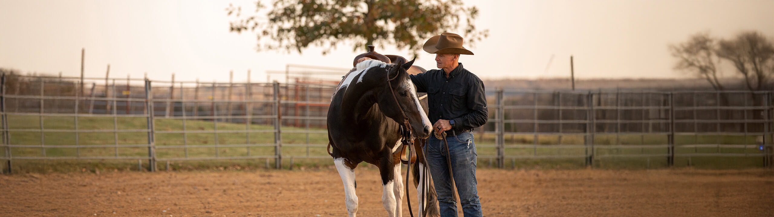 cowboystiefel product image