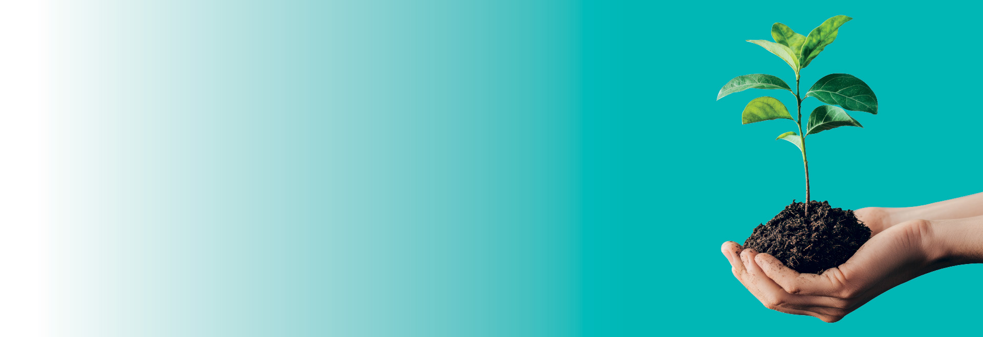 biform product image