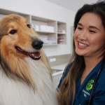 greencross-vet-featured