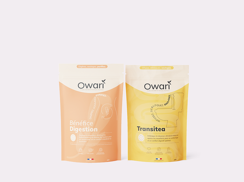 owari-featured