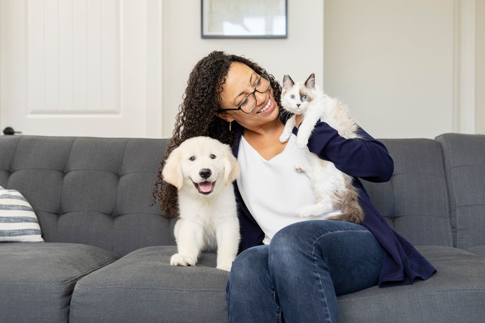 pet safe product image