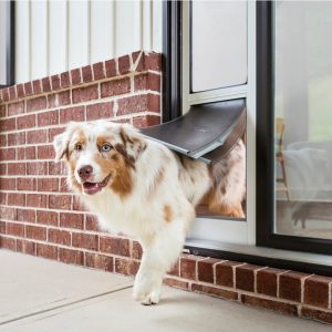 pet-safe-featured