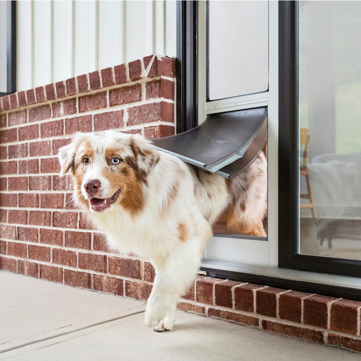 pet-safe-featured